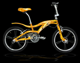 Freestyle bicycle